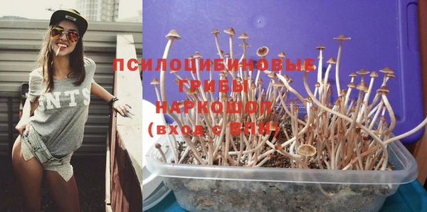дурь Абаза